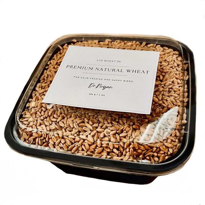 دانه پرندگان مدل گندم کبک کد LuxWheat96 وزن 434 گرم
