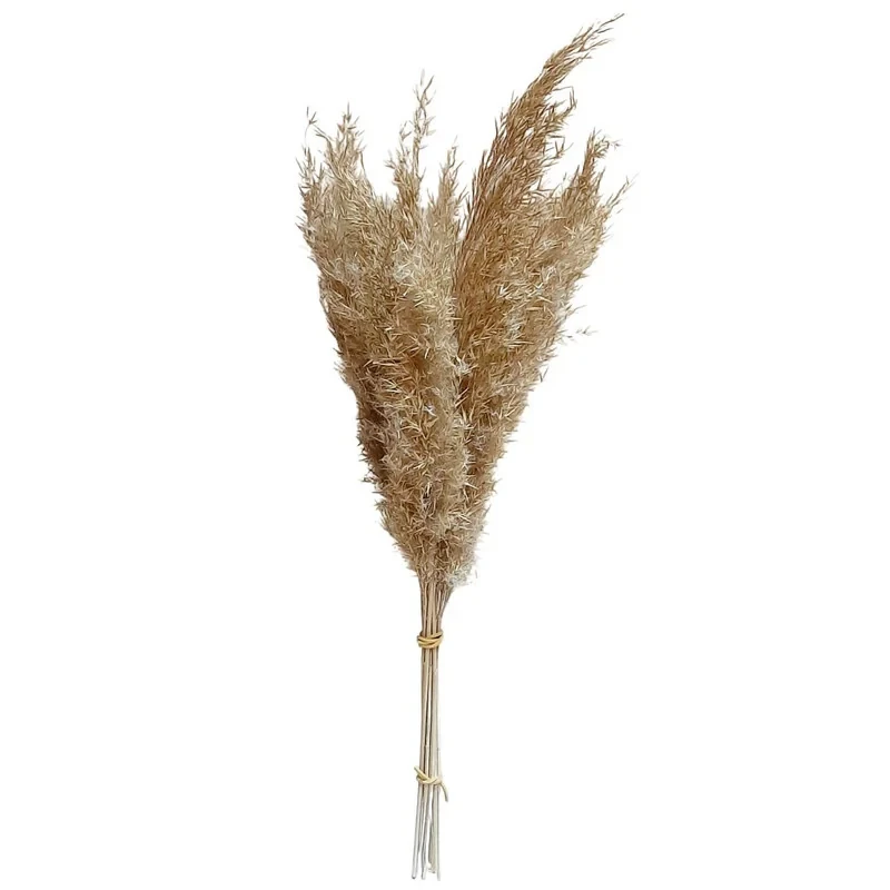 گل خشک مدل قمیش 10شاخه کد GR10