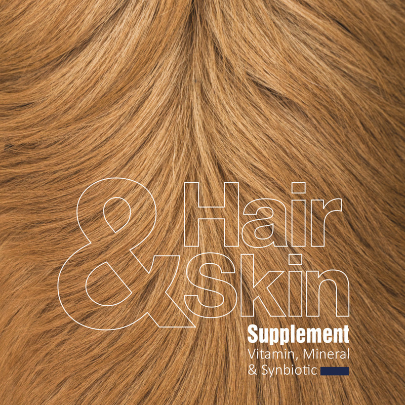پودر مکمل سگ بایو پت مدل Hair and Skin وزن 200 گرم