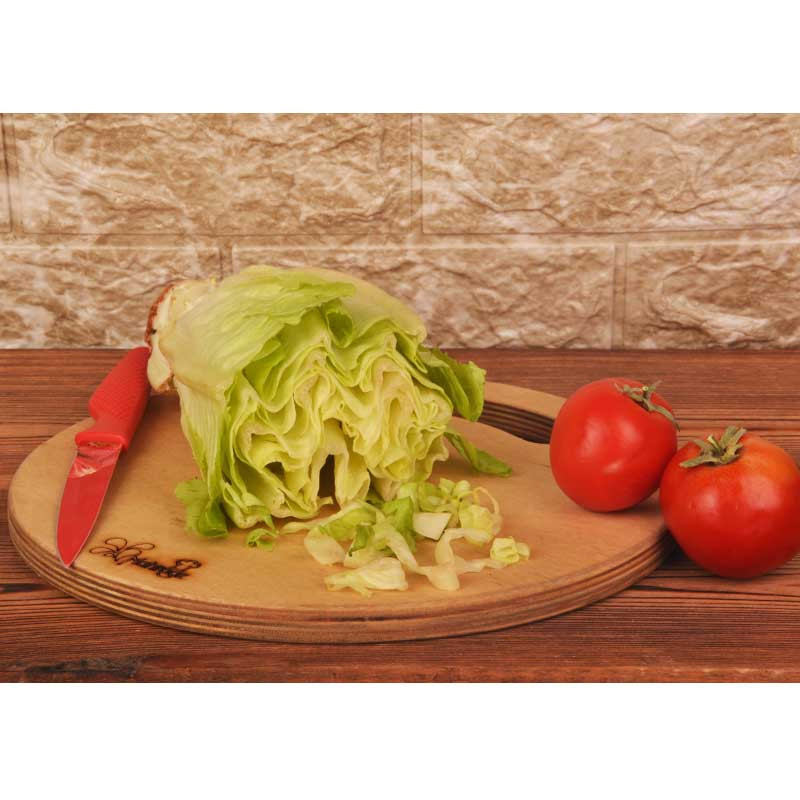 تخته گوشت مهروز مدل 005