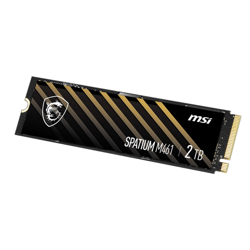اس اس دی اینترنال PCIe Gen4 x4 ام اس آی مدل M461 ظرفیت 2 ترابایت
