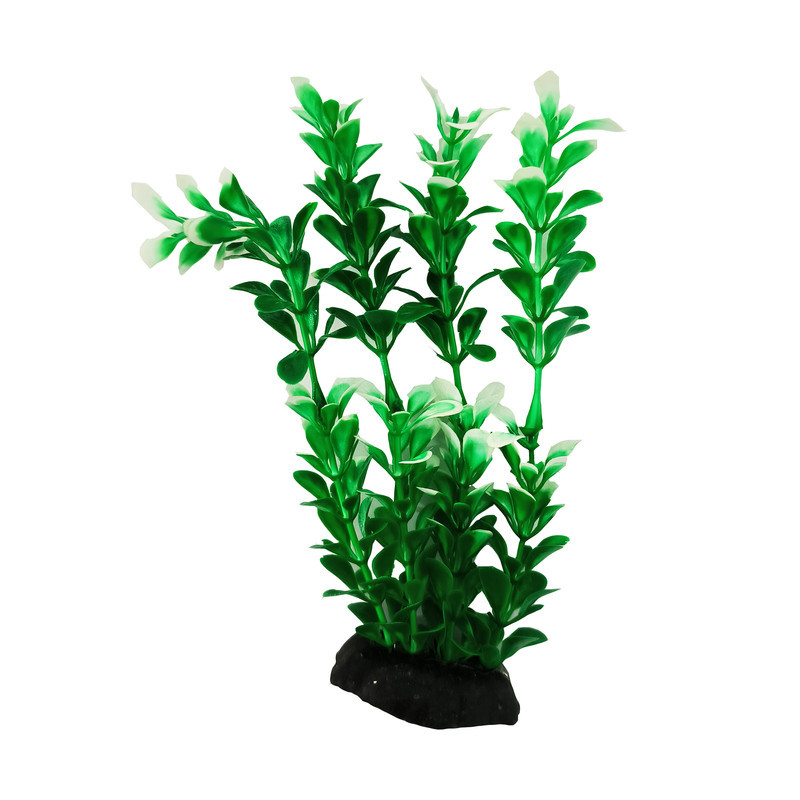 گیاه تزیینی آکواریوم کد S02 مجموعه 10 عددی