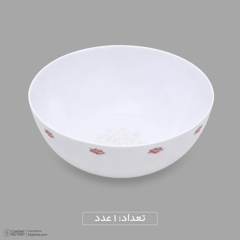 سرویس غذاخوری اوپال 26 پارچه 6 نفره دینو مدل  گرد کلاسیک ورژن 3  لوستر کد 139