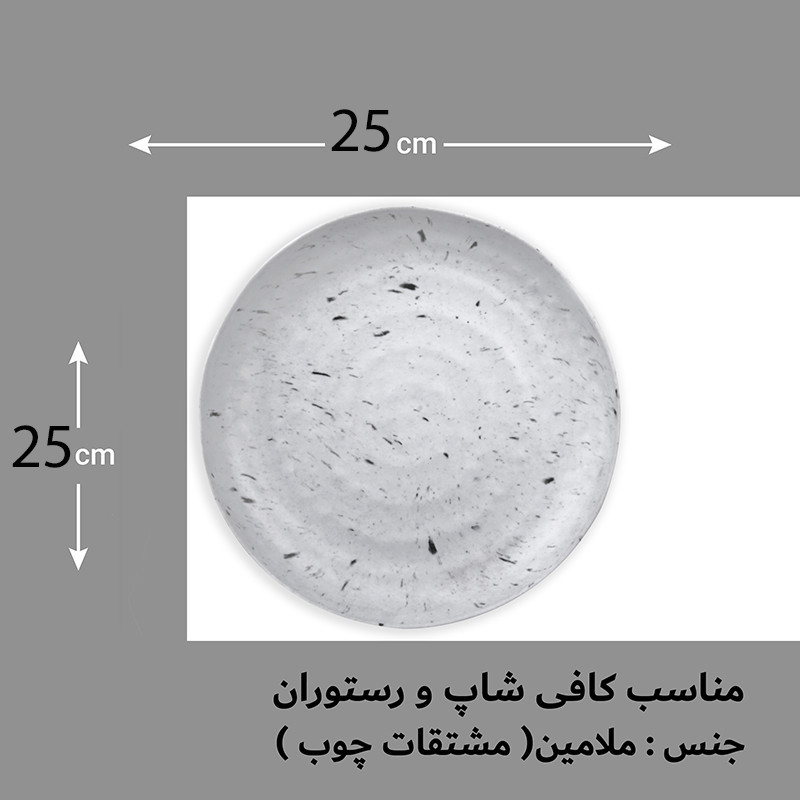 بشقاب غذاخوری لرد مدل 0218426