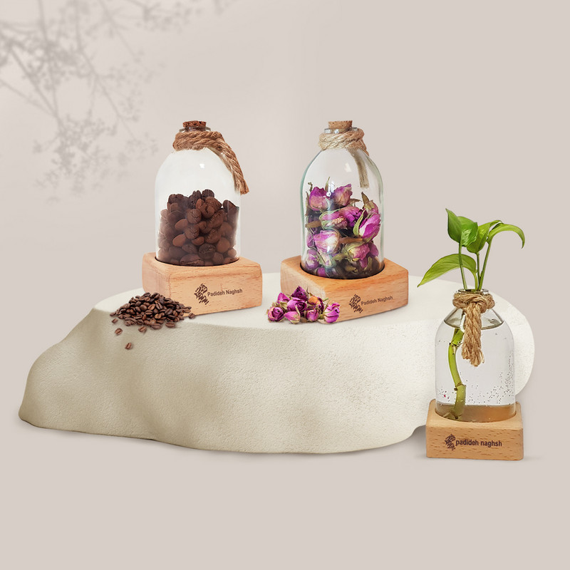 گلدان دکوری پدیده نقش مدل plant place