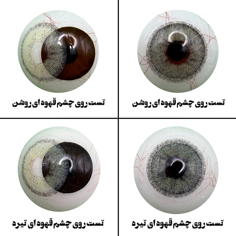 لنز چشم هرا مدل 12 فصلی کد SDA310  رنگ سبز عسلی دور دار