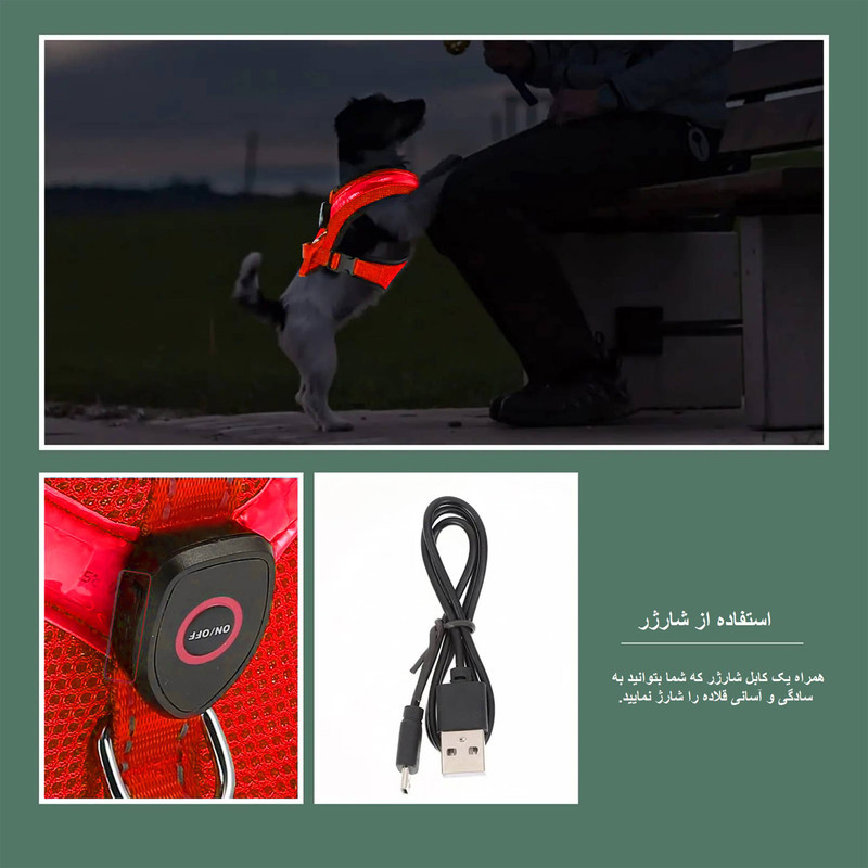 قلاده طرح چراغدار مدل FH01 RD