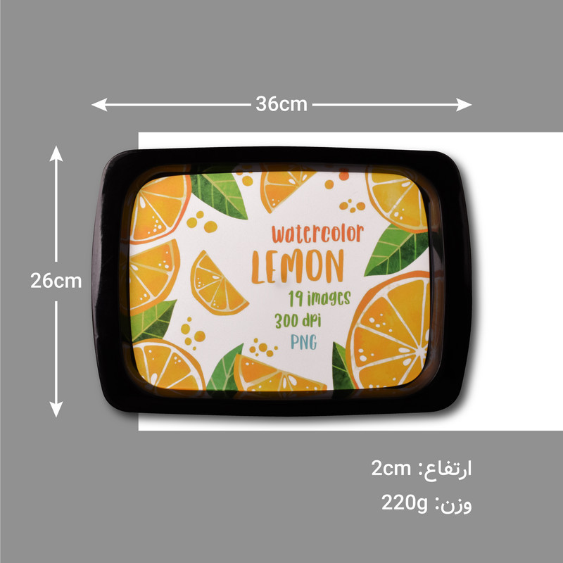سینی مهروز مدل GH-2002-548 طرح لیمون