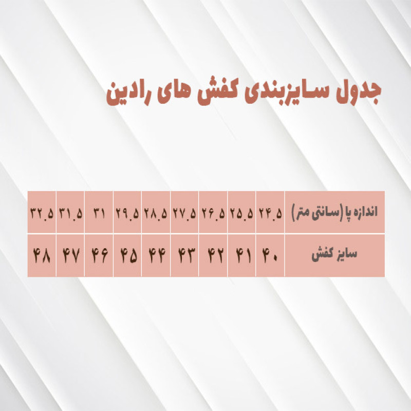 کفش مردانه رادین مدل ۲۴۱۲