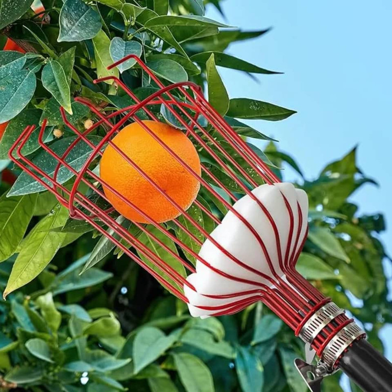 میوه چین مدل سبدی فلزیa-1200