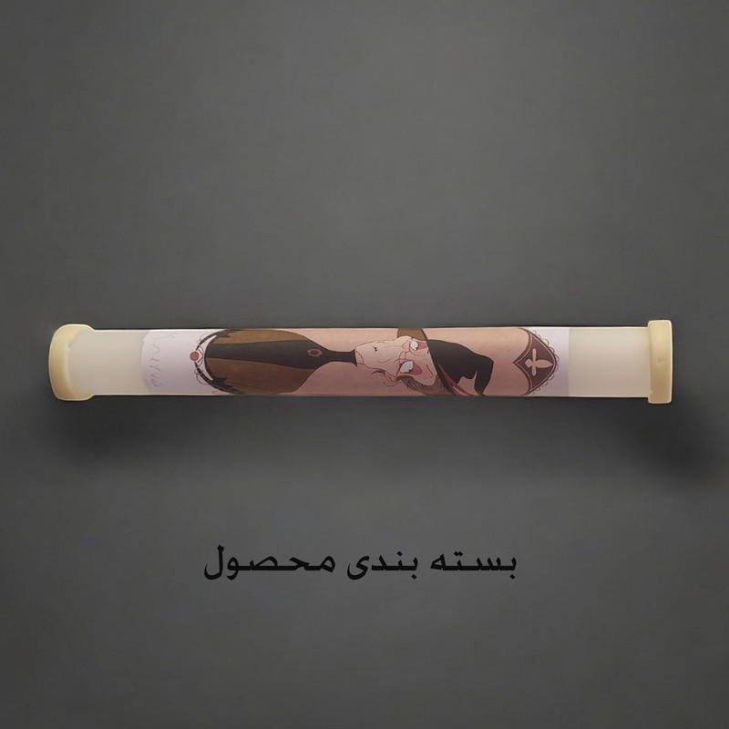 اسباب بازی زینتی مدل چوب دستی هری پاتر طرح پروفسور مک‌گونگال به همراه کارت قطار