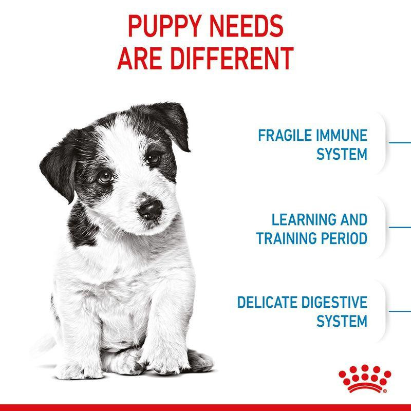 غذای خشک و توله سگ رویال کنین مدل Mini Puppy وزن 2 کیلوگرم مجموعه 3 عددی