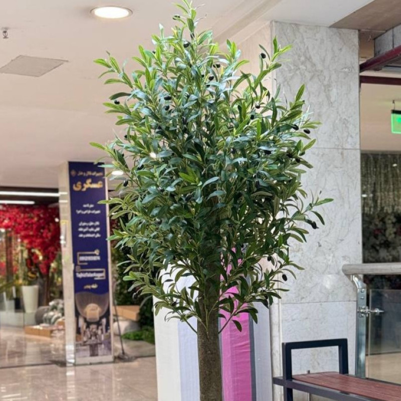 درختچه مصنوعی زیتون ایستاده با تنه طبیعی، برگ لمسی و قابل شستشو، برگ درجه یک، دارای میوه، ارتفاع 200 سانتی‌متر، عرض 50 سانتی‌متر، بدون گلدان