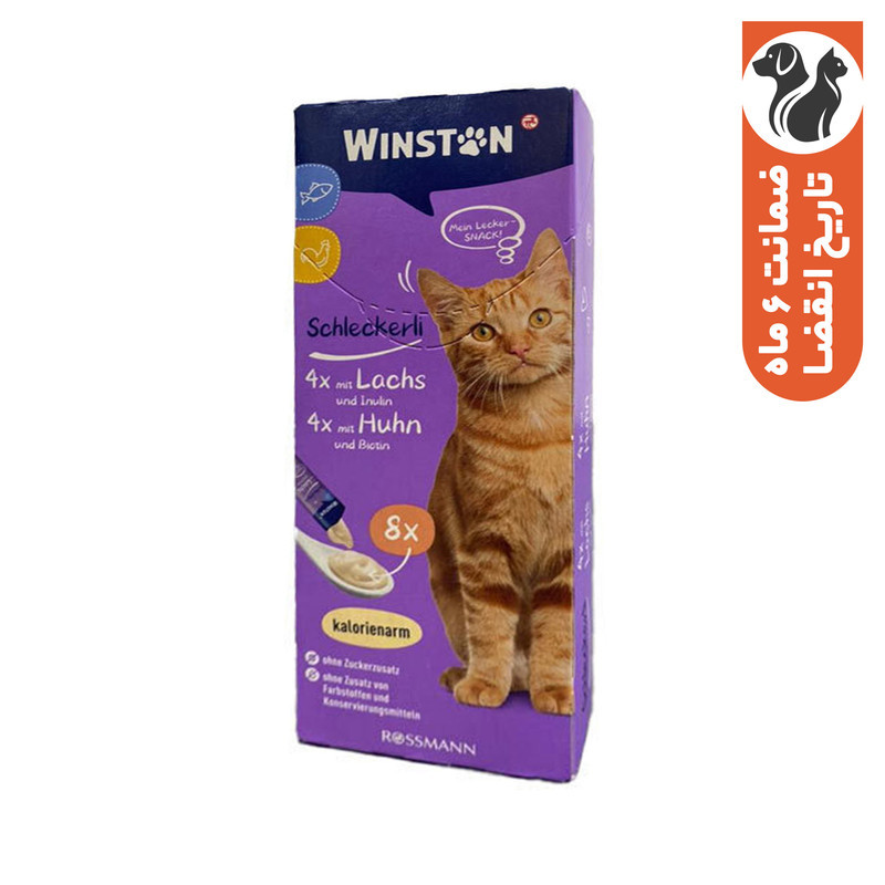 تشویقی گربه وینستون مدل بستنی مرغ و ماهی وزن 120 گرم