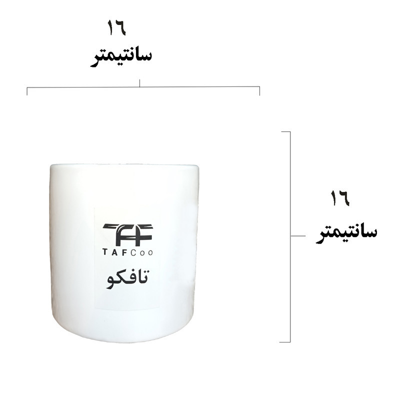 گیاه طبیعی نخل ماداگاسکار تافکو کد 2038