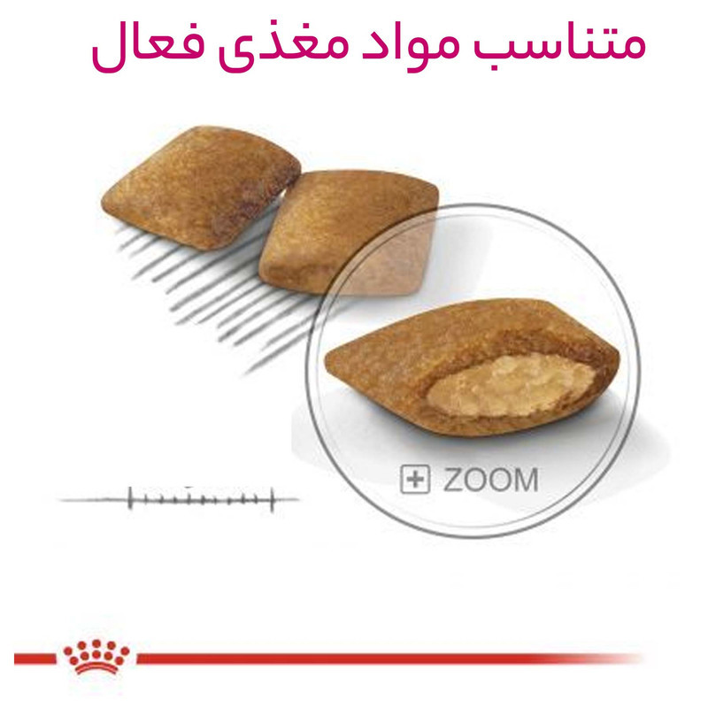 غذای خشک سگ نژاد کوچک رویال کنین مدل Mini Exigent بد غذا وزن 3 کیلوگرم
