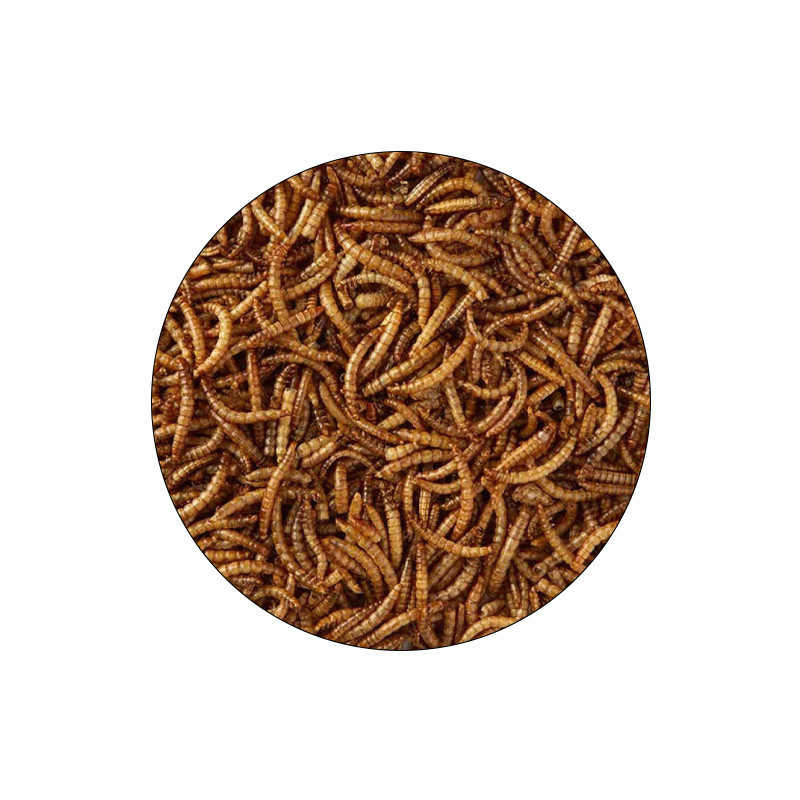 غذای ماهی میل ورم شهرپت مدل FishMealworms وزن 100 گرم