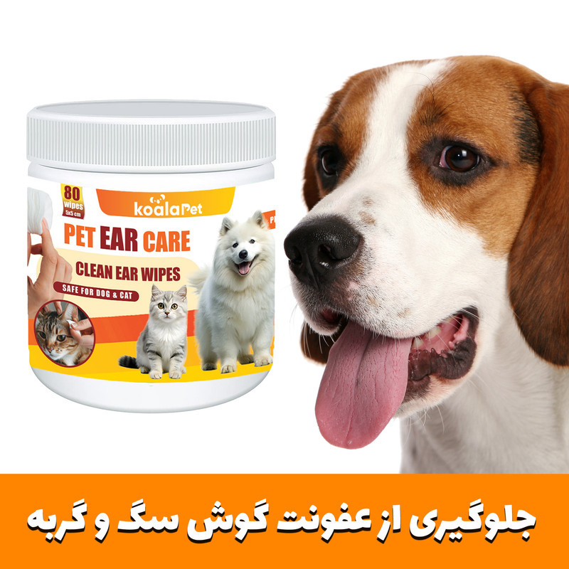 دستمال مرطوب گوش سگ و گربه کوالاپت مدل Ear wipes01 بسته 80 عددی