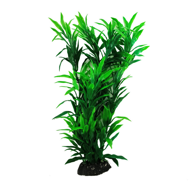 گیاه تزیینی آکواریوم کد SM089 مجموعه 10 عددی