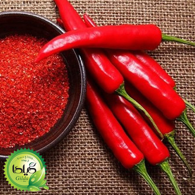 بذر فلفل تند چیلی گیلدا کد 352