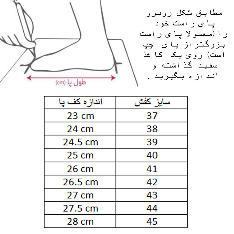 کفش والیبال مردانه مدل اسپرت کد C-8281