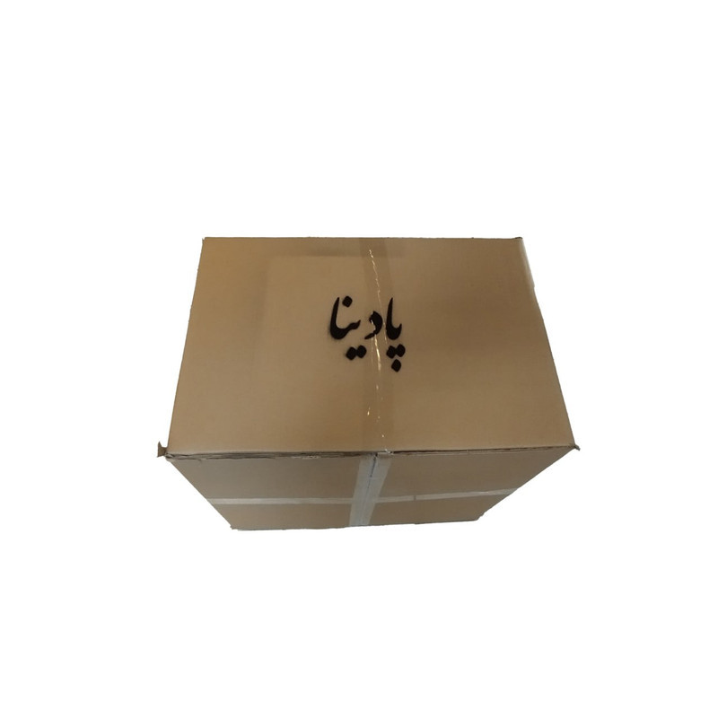لوستر پادینا مدل مدرن کد LZ50
