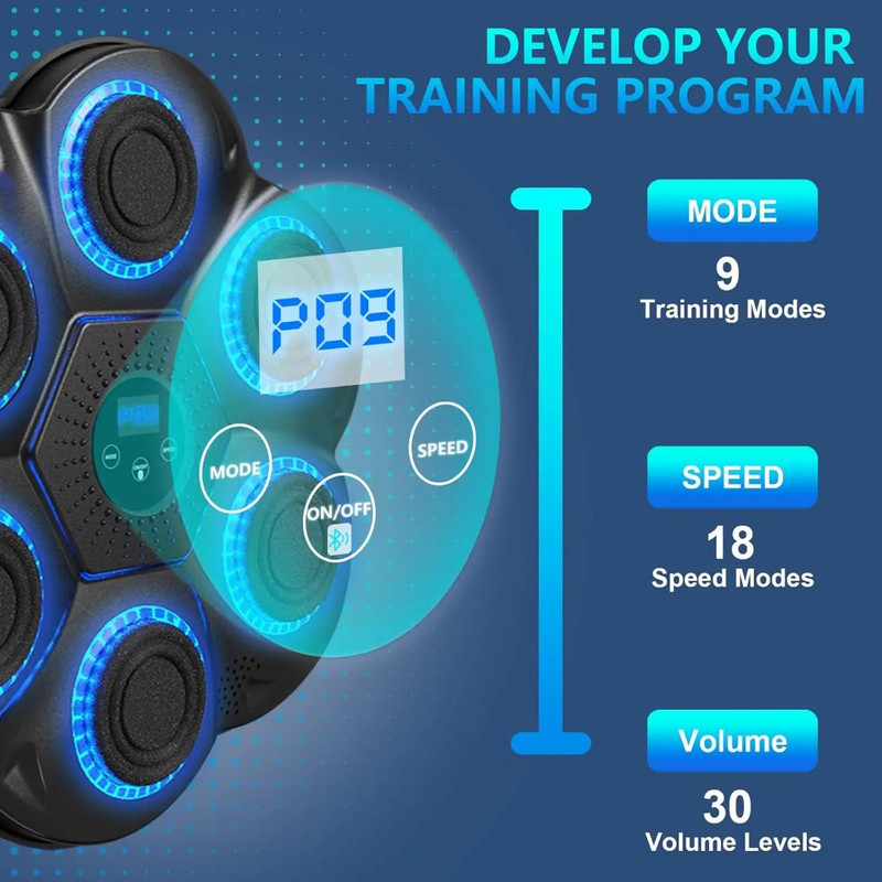کیسه بوکس مدل Intelligent