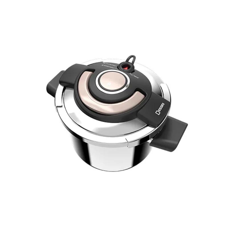 زودپز دسینی مدل INOCOOK ZL1005 گنجایش 6 لیتر