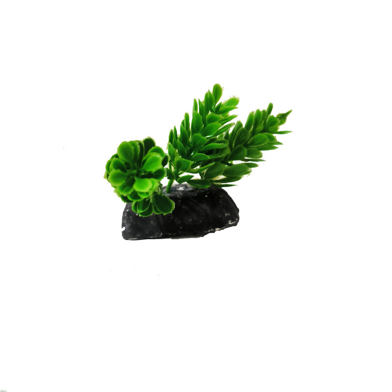 گیاه تزیینی آکواریوم کد VB09 مجموعه 10 عددی