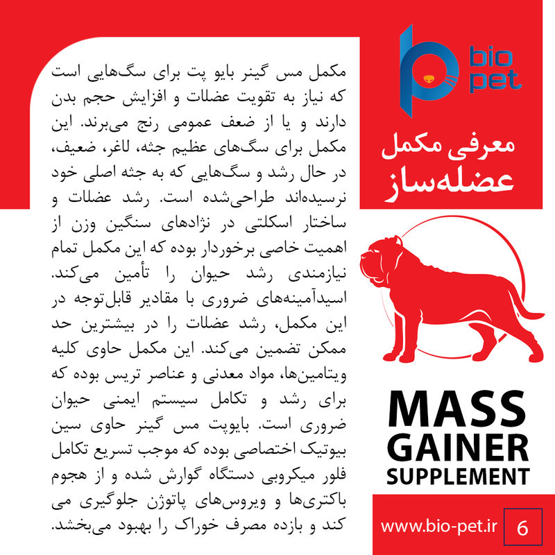 پودر مکمل سگ بایو پت مدل عضله‌ساز Mass Gainer وزن 400 گرم