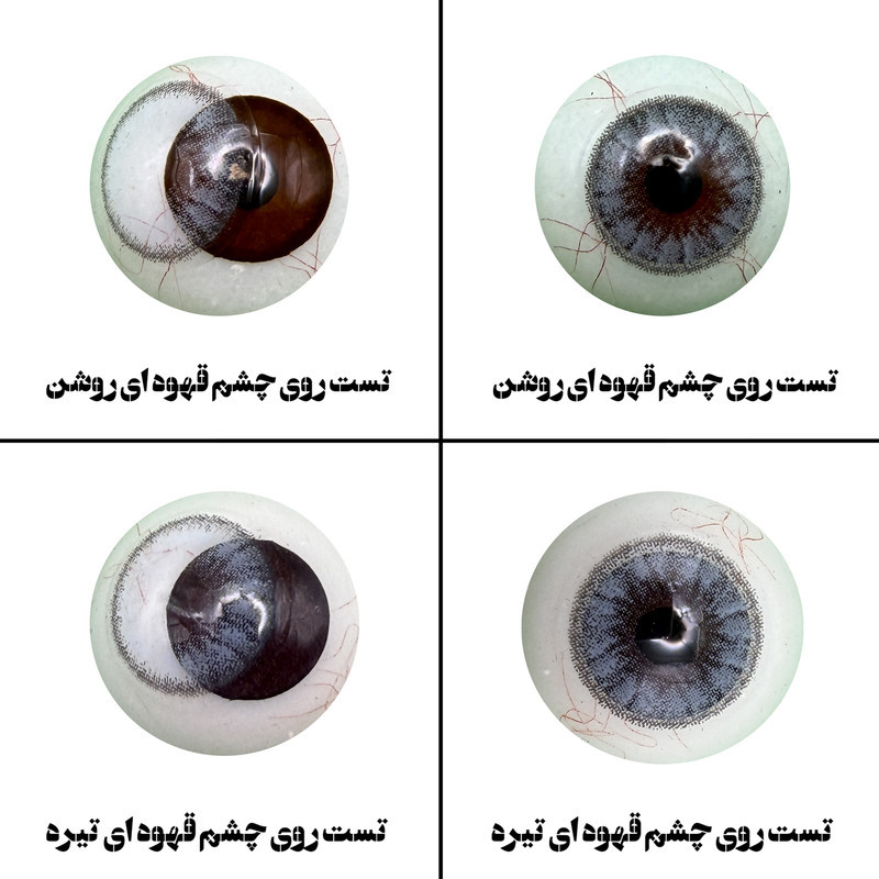 لنز چشم رویال ویژن مدل ICY BL کد 29 رنگ آبی یخی دوردار