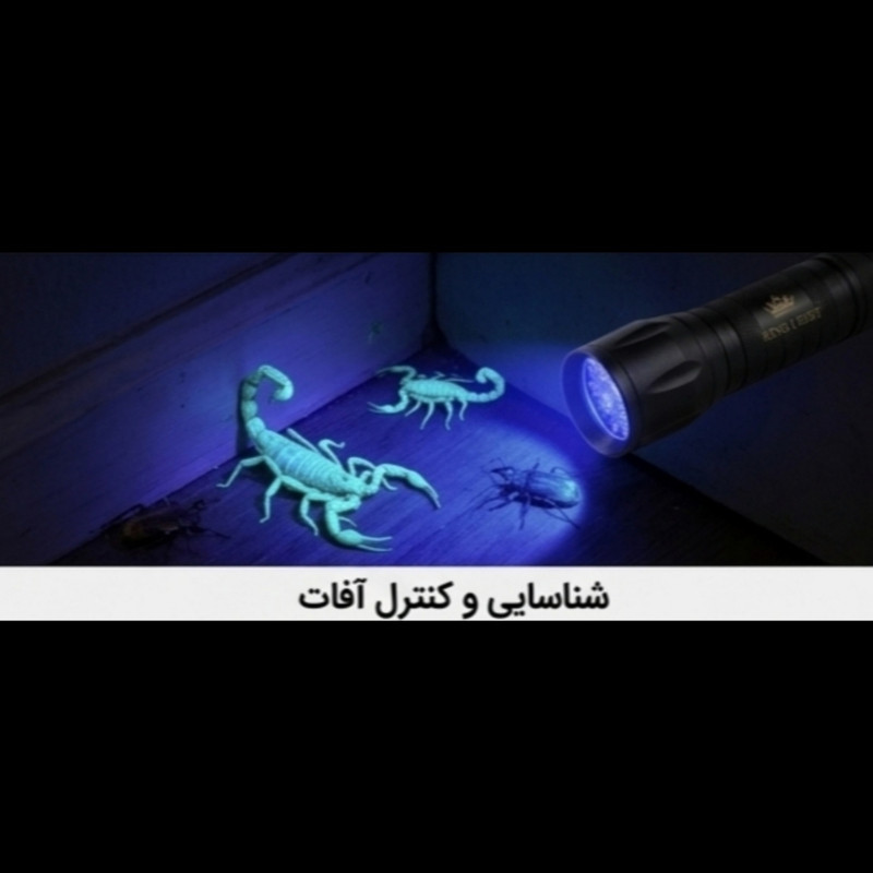 چراغ قوه دستی کینگ لایت مدل UV-365395 با نور بنفش