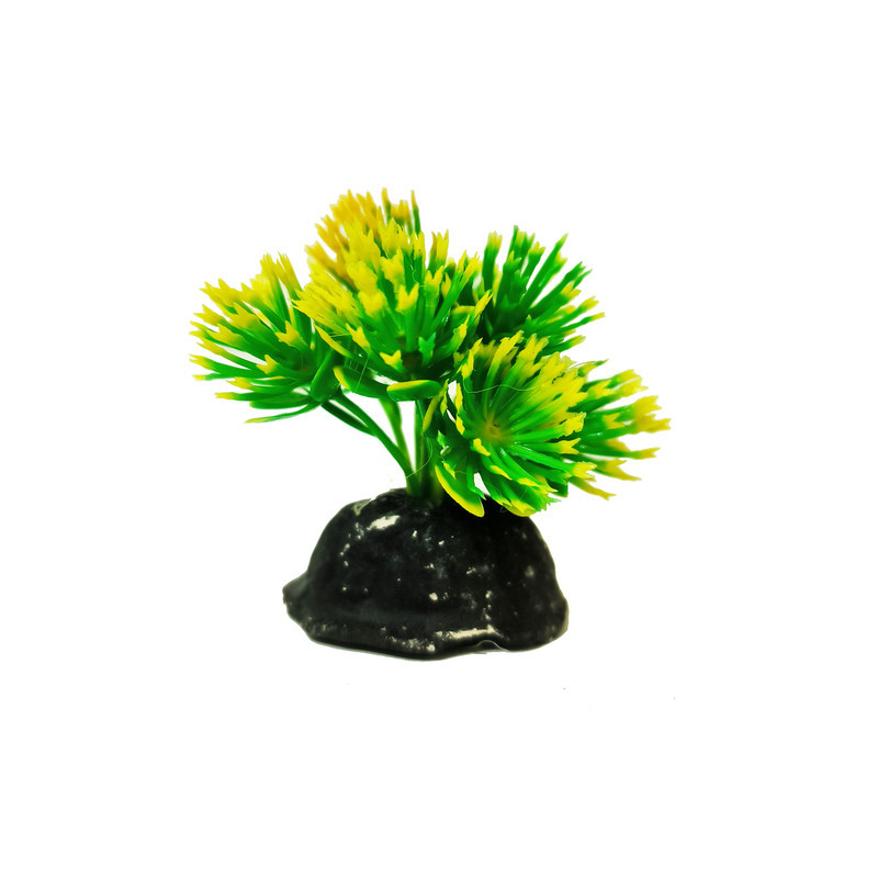 گیاه تزیینی آکواریوم کد VB09 مجموعه 10 عددی