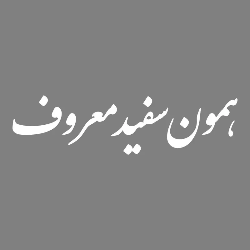 برچسب بدنه خودرو طرح همون سفید معروف کد MT-W446