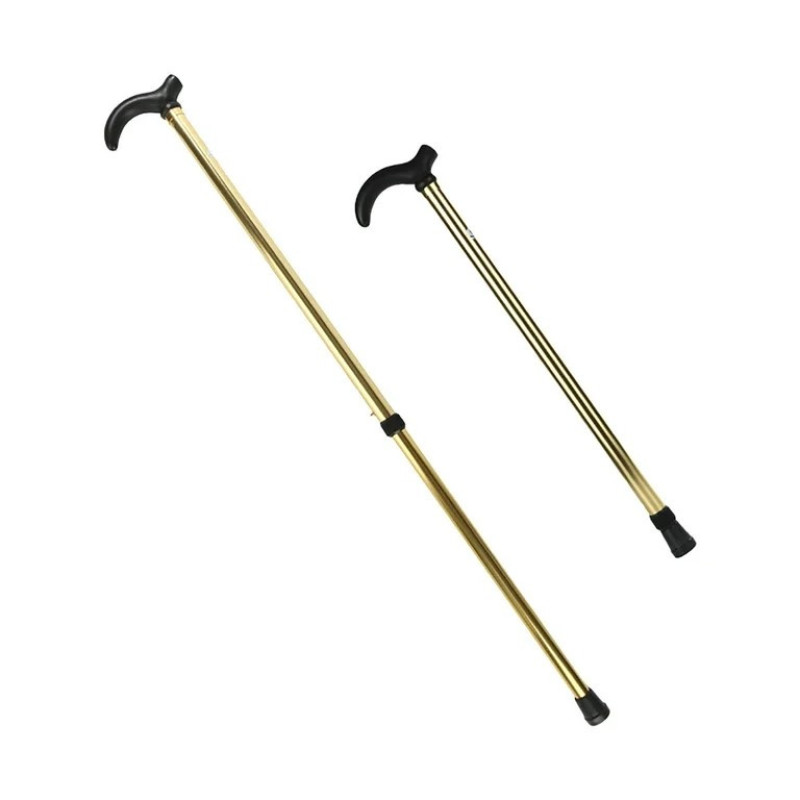 عصای کوهنوردی  مدل ریلی کد R60