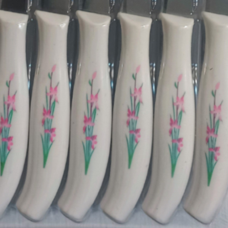 کارد میوه خوری رومانتیک هوم مدل R204 بسته 12 عددی