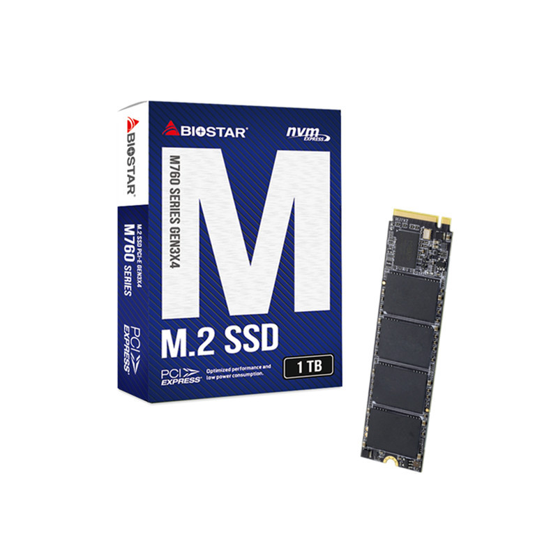اس اس دی اینترنال بایوستار مدل M760-256GB ظرفیت 256 گیگابایت