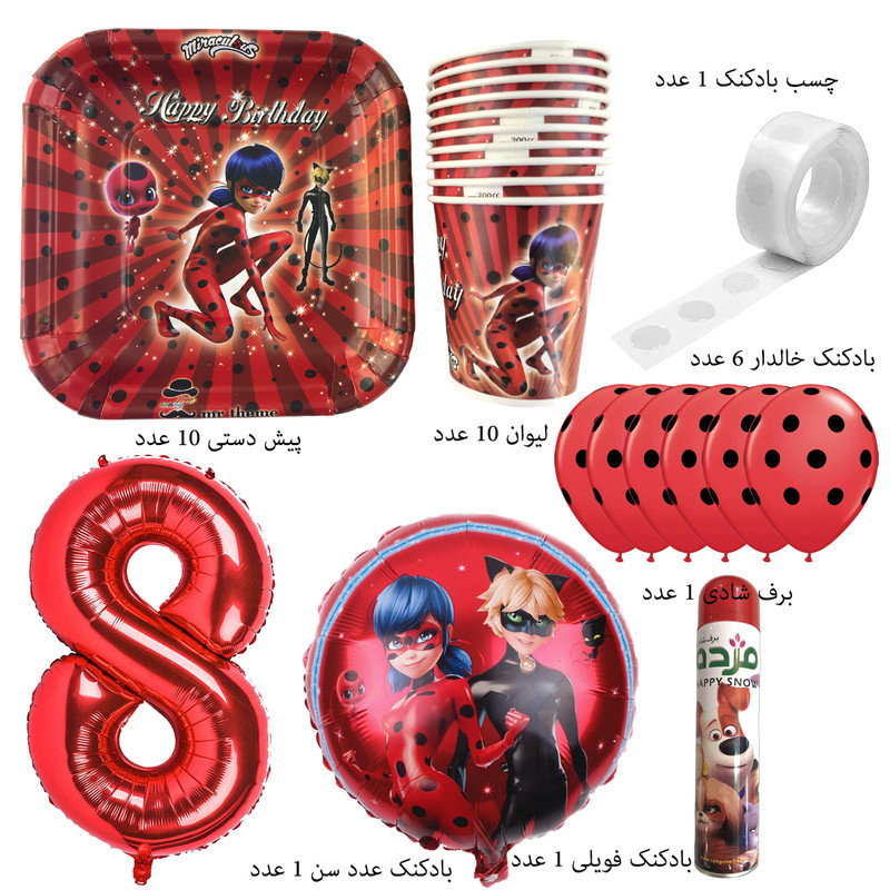 مجموعه تم تولد مستر تم کد 8 طرح دختر کفشدوزک پلاس 30 عددی