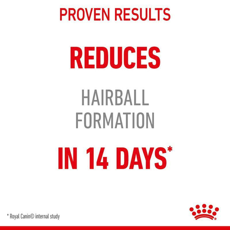 غذا خشک گربه رویال کنین مدل Hairball Care وزن 2 کیلوگرم به همرا بستنی گربه گربه