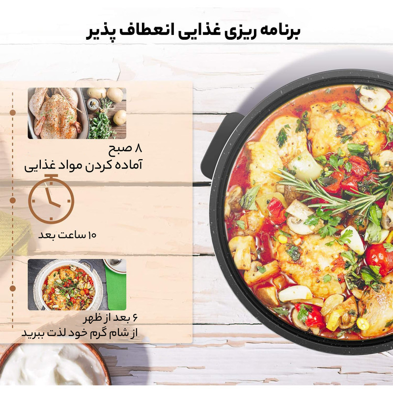 مولتی کوکر الک هومز مدل EKR-58