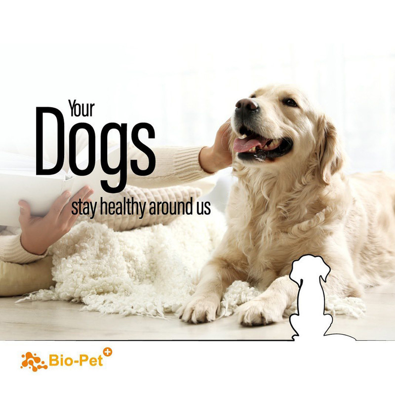 پودر مکمل سگ بایو پت مدل Golden Retriever وزن 200 گرم