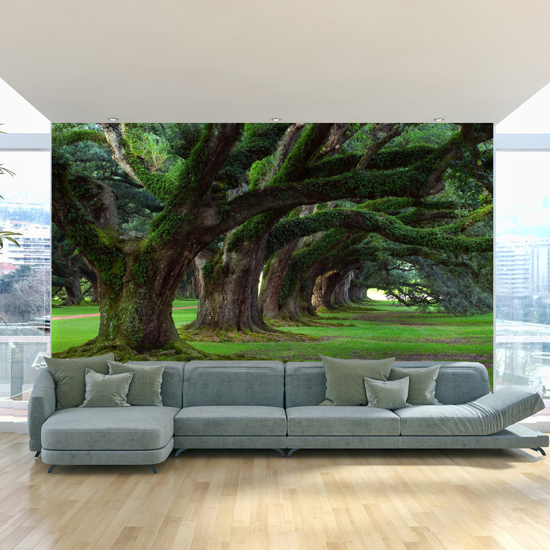پوستر دیواری طرح درخت کد Best Nature 667