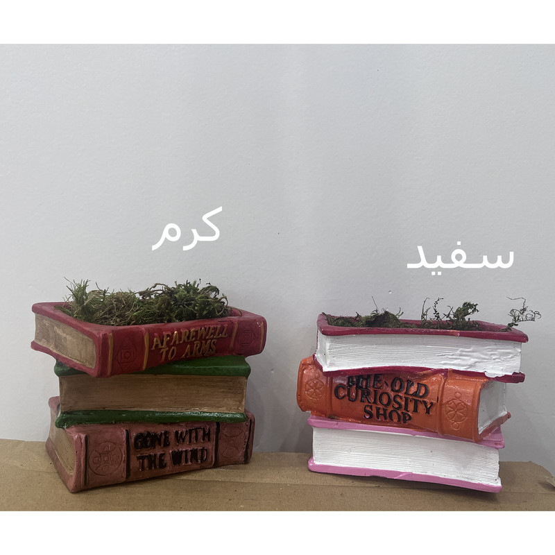 گلدان به همراه گل مصنوعی مدل سرخس ظریف و کتاب
