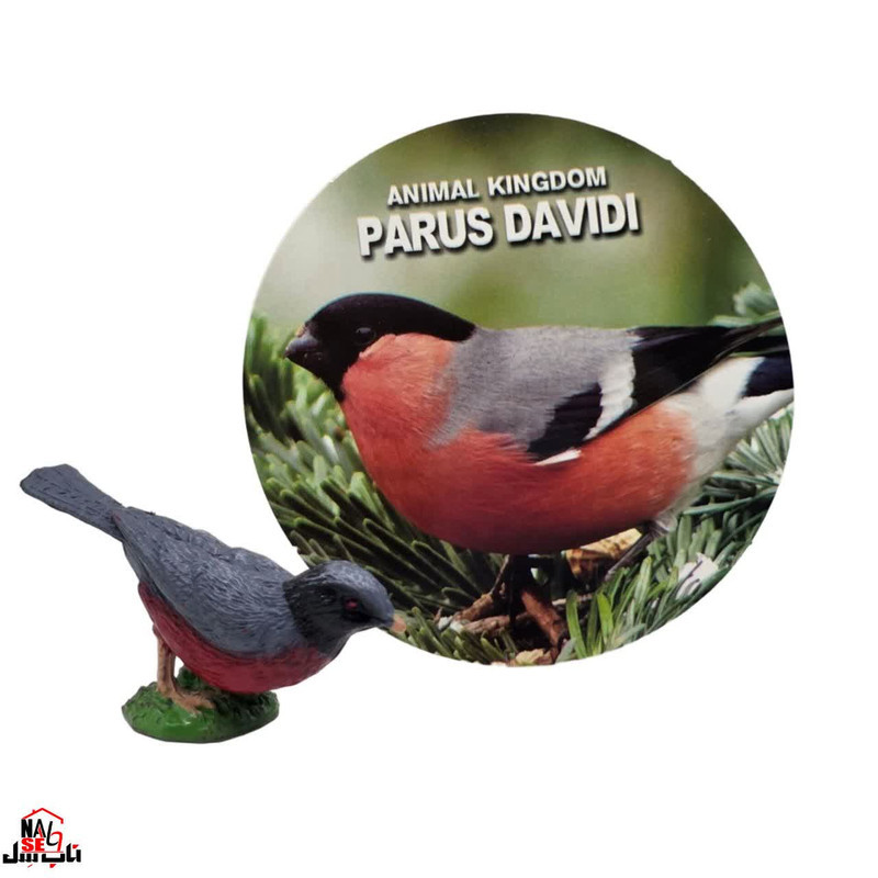 فیگور ناب سل مدل پرنده کد PARUS DAVIDI NAAB006 ارتفاع 3 سانتی متر