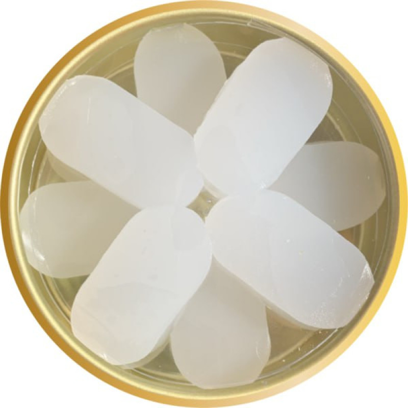 گوشگیر ژله ای کلور پلاس مدل 06 بسته 12 عددی