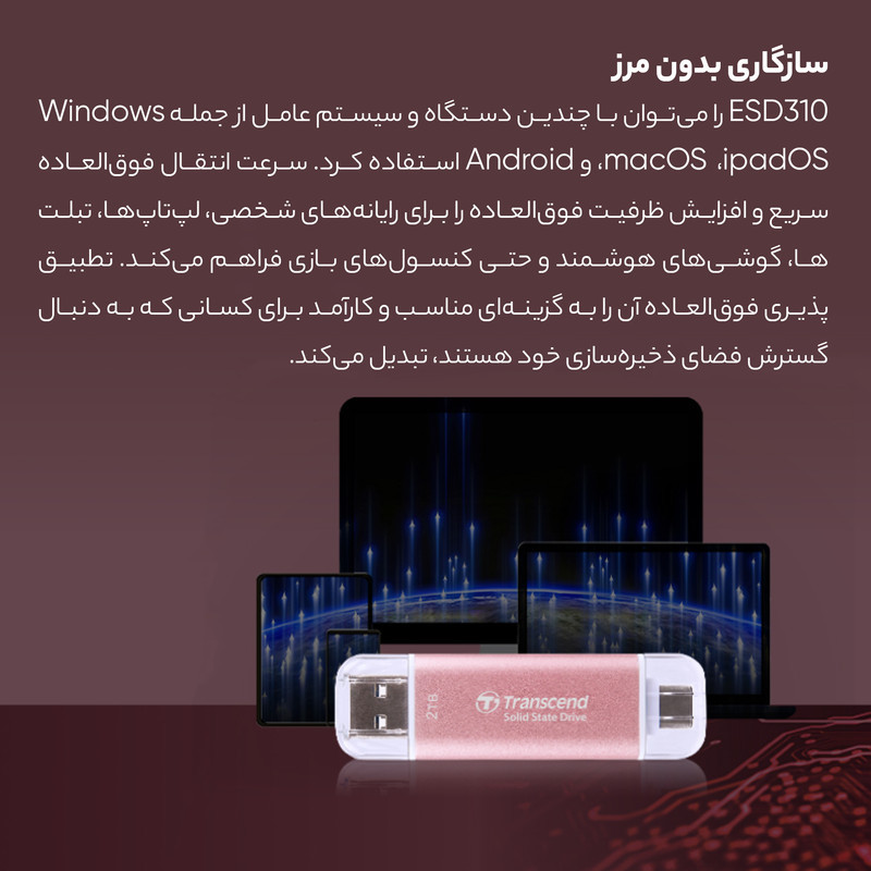 حافظه‌ی SSD اکسترنال ترنسند مدل ESD310C ظرفیت 1 ترابایت