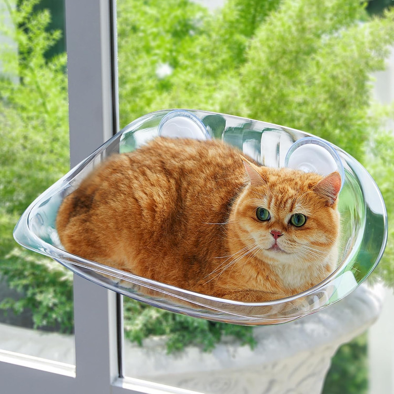 جای خواب گربه مدل شیشه ای مکشی window Bed