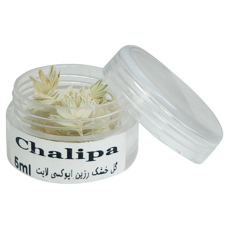 گل خشک لایت چلیپا مدل رزین اپوکسی وزن 5 گرم