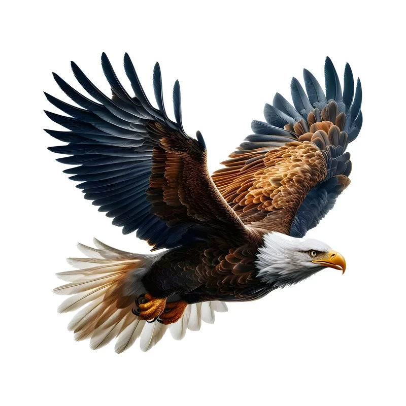 استیکر دیواری طرح عقاب کد eagle-301