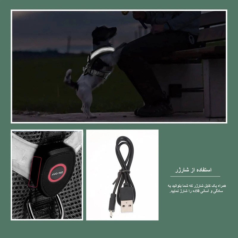قلاده طرح چراغدار مدل FH01 BK